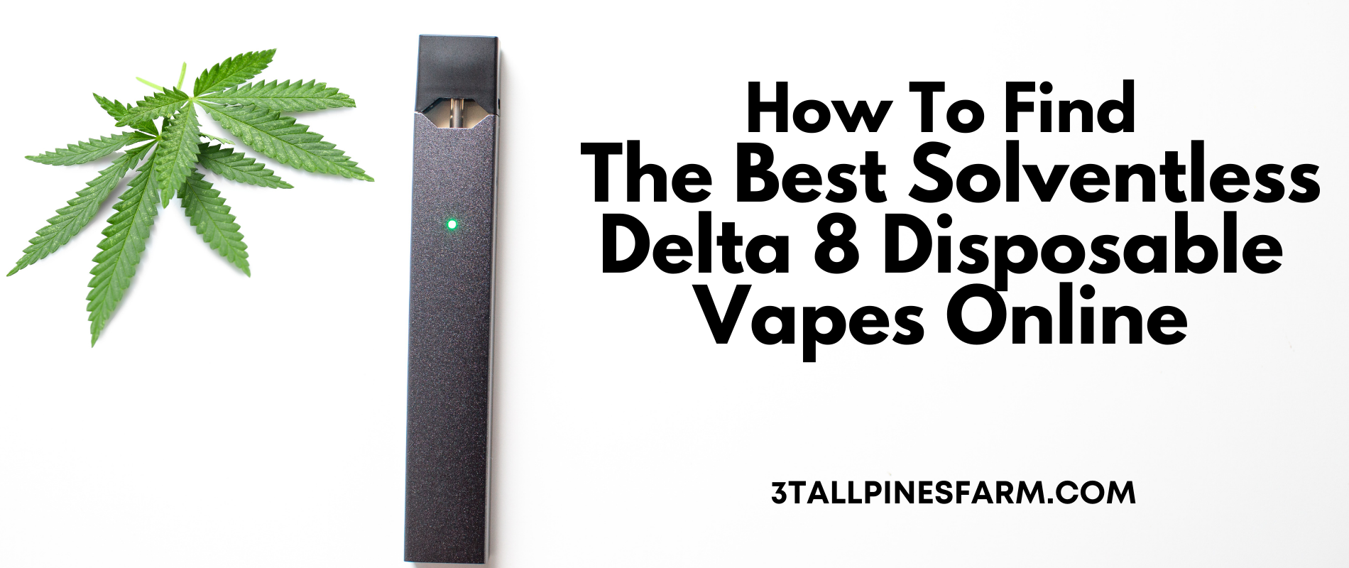 How To Find The Best Solventless Delta 8 Disposable Vapes 3 Tall Pines Farm How To Find The Best Solventless Delta 8 Disposable Vapes 3 Tall Pines Farm