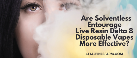 Are Solventless Entourage Live Resin Delta 8 Disposable Vapes More Effective?