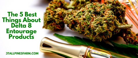 The 5 Best Things About Delta 8 Entourage Products