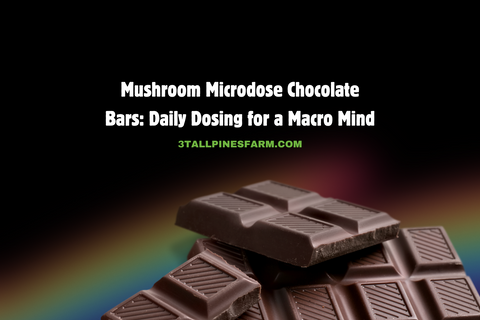 Mushroom Microdose Chocolate Bars: Daily Dosing for a Macro Mind