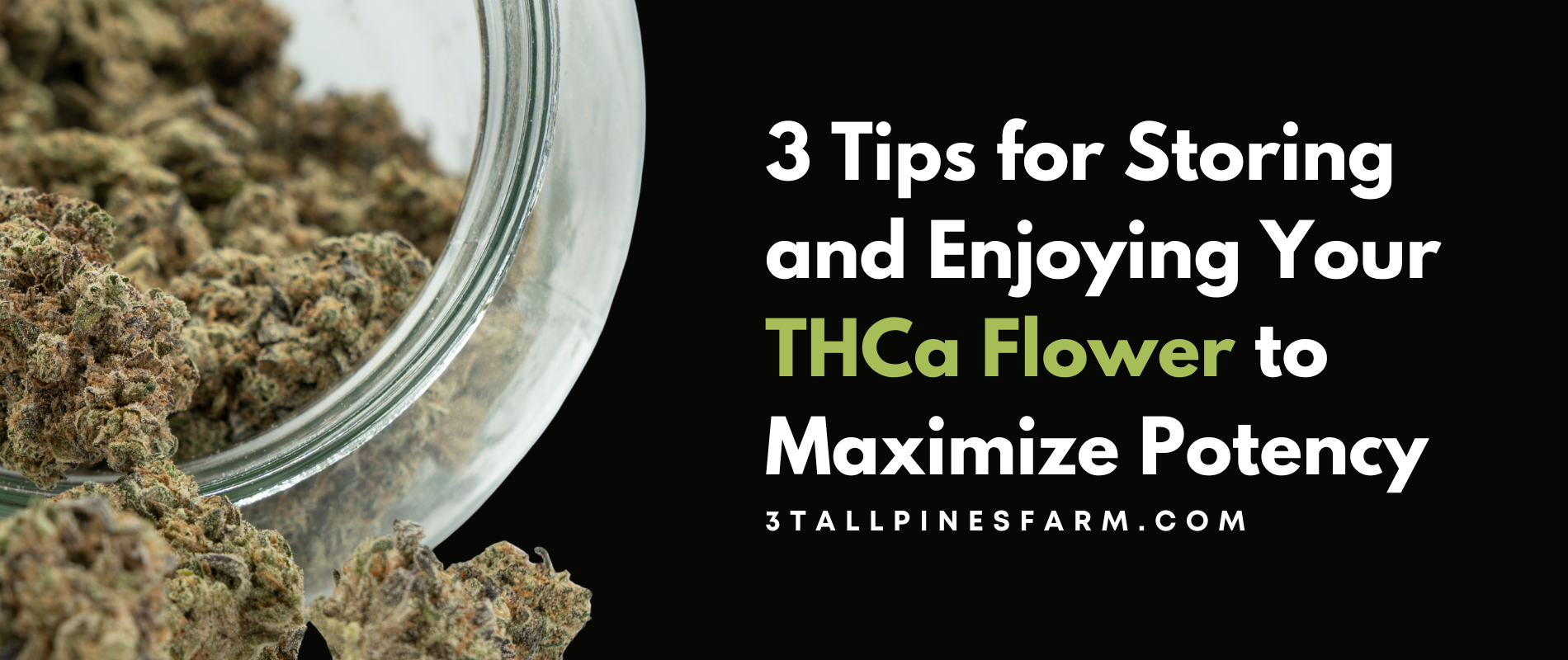 3 Tips for Storing and Enjoying Your THCa Flower 3 Tall Pines Farm 3 Tips for Storing and Enjoying Your THCa Flower 3 Tall Pines Farm