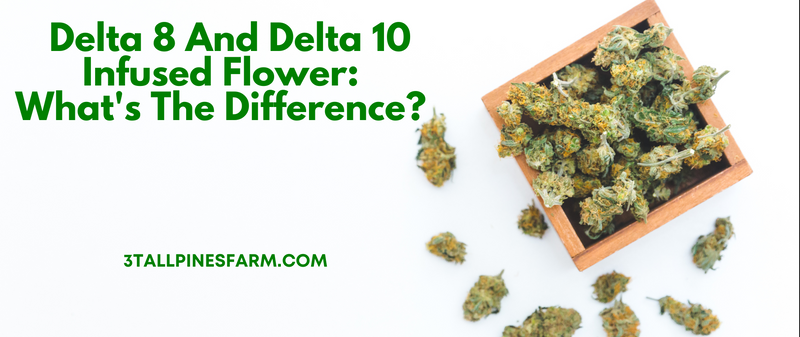 Delta 8 & Delta 10 Infused Flower: What’s The Difference? - 3 Tall Pines Farm