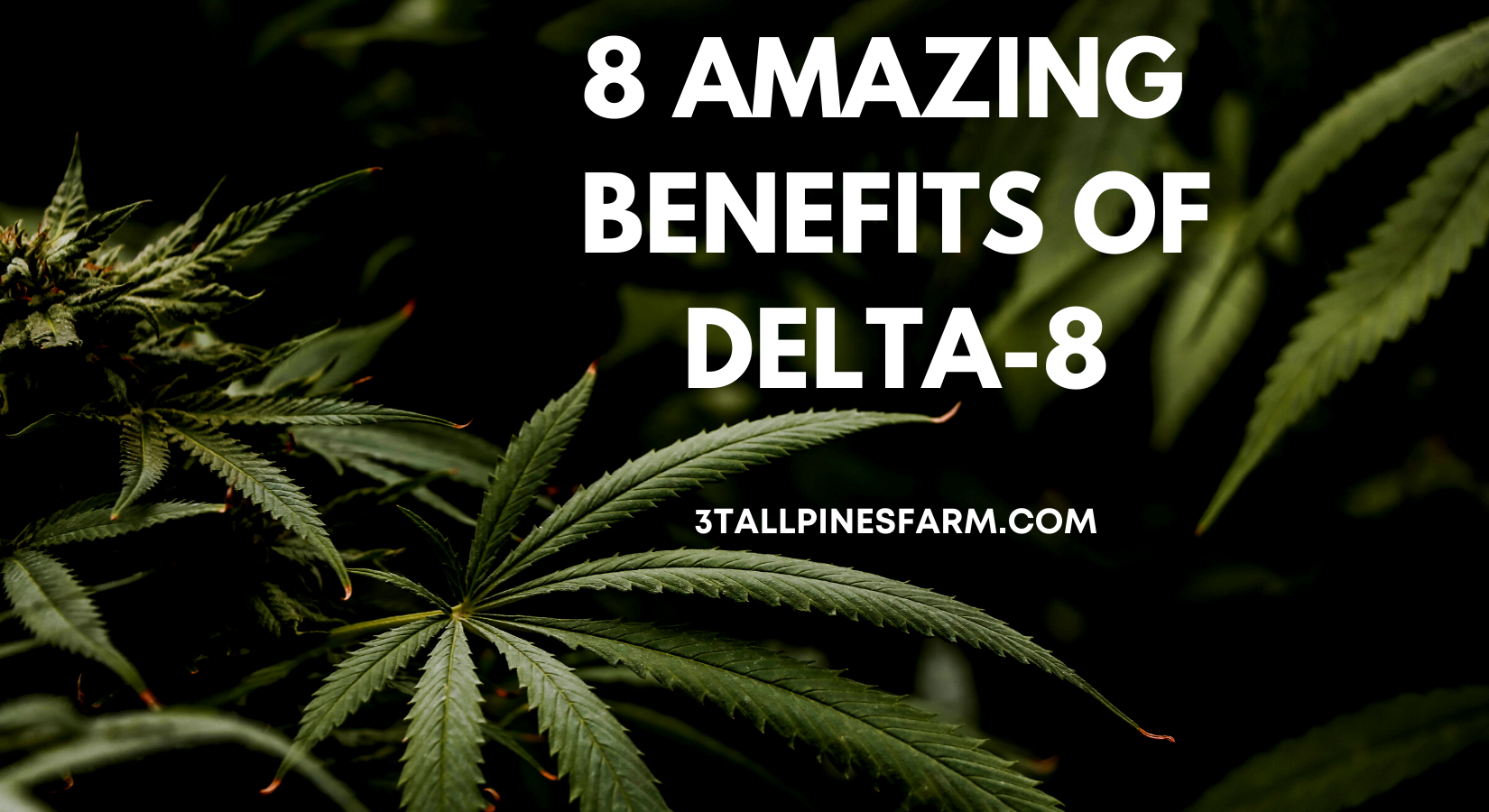 8 Amazing Benefits of Delta-8