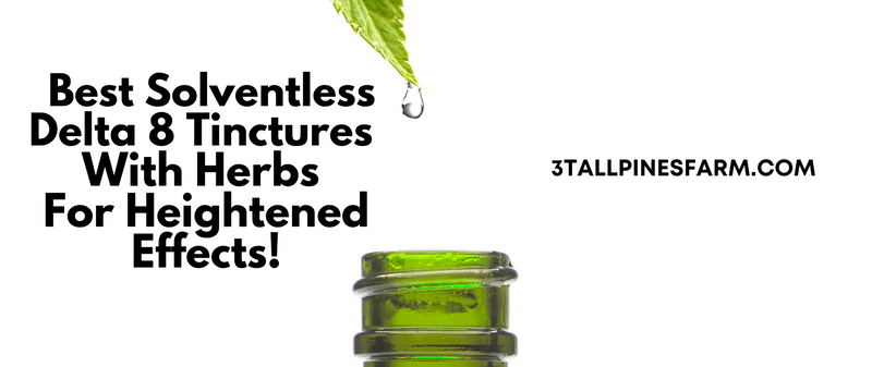 Best Solventless Delta 8 Tinctures With Herbs For Heightened Effects