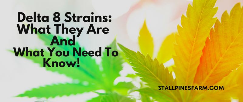Delta 8 Strains: What They Are And Why You Need To Know! - 3 Tall Pines Farm