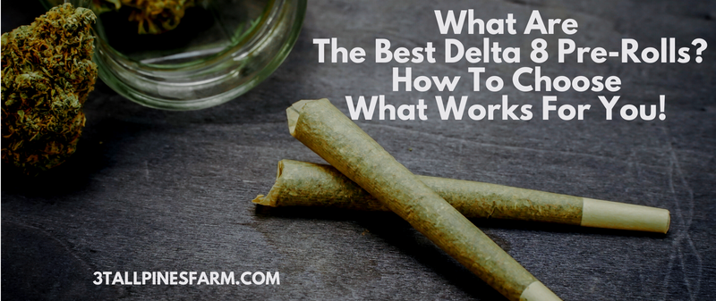 What Are The Best Delta 8 Pre-Rolls?  How To Choose  What Works For You! - 3 Tall Pines 