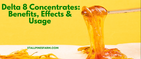 Delta 8 Concentrates: Benefits, Effects and Usage