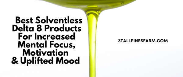Best Solventless Delta 8 Products For Increased Mental Focus, Motivation & Uplifted Mood