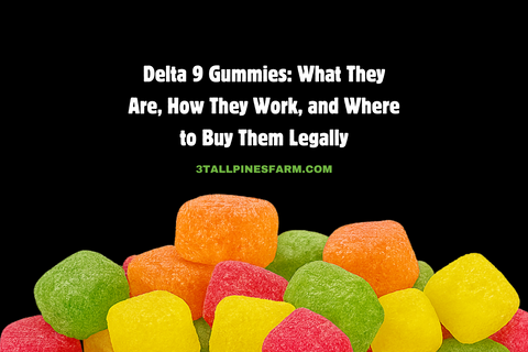 Delta 9 Gummies: What They Are, How They Work, and Where to Buy Them Legally