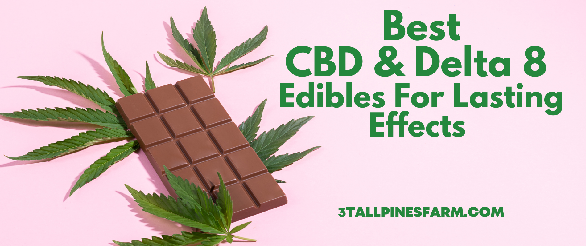 Best CBD and Delta-8 Edibles For Lasting Effects