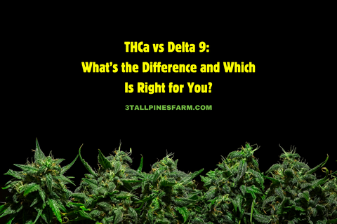 THCa vs Delta 9: What’s the Difference and Which Is Right for You?