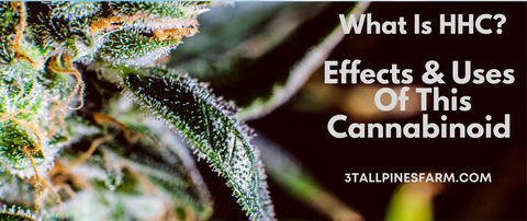 What Is HHC? Effects & Uses Of This Cannabinoid