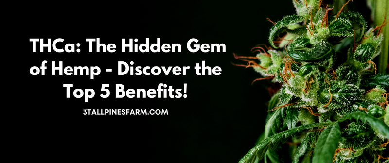 THCa-hidden-gem-of-hemp-top-5-benefits