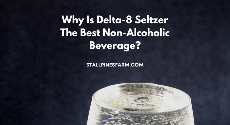 Why Is Delta-8 Seltzer The Best Non-Alcoholic Beverage?