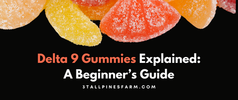 Delta 9 Gummies Explained: A Beginner’s Guide