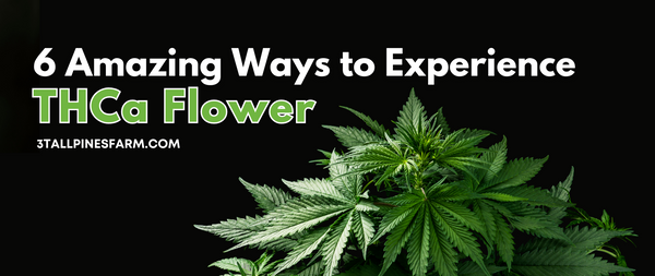 6 Amazing Ways to Experience THCa Flower