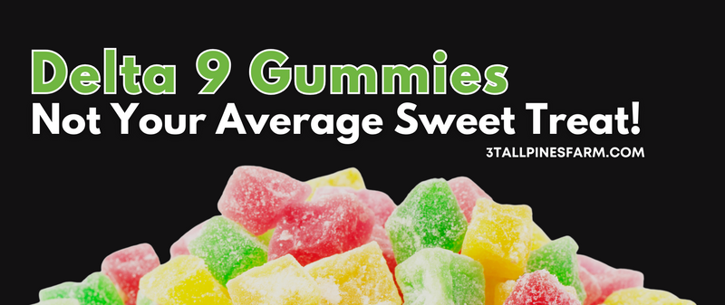 delta-9-gummies-not-your-average-sweet-treat