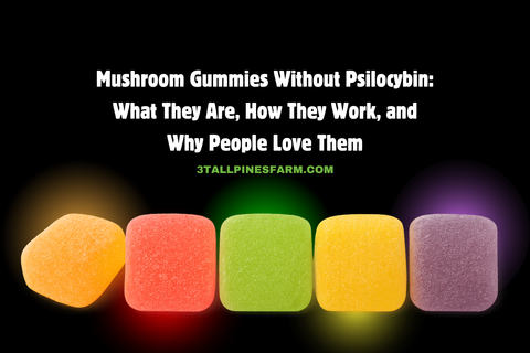 Mushroom Gummies Without Psilocybin: What They Are, How They Work, and Why People Love Them