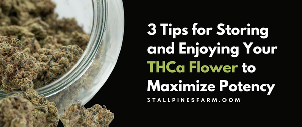3 Tips for Storing and Enjoying Your THCa Flower to Maximize Potency