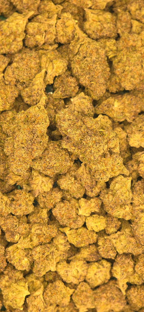 Italian Ice - THCA Flower - Hybrid