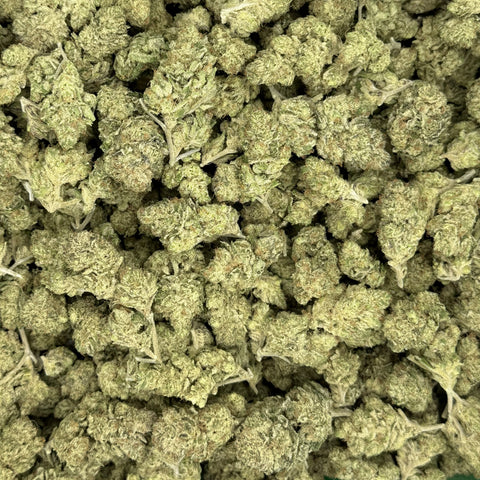 The Muse - THCA Flower - Indica