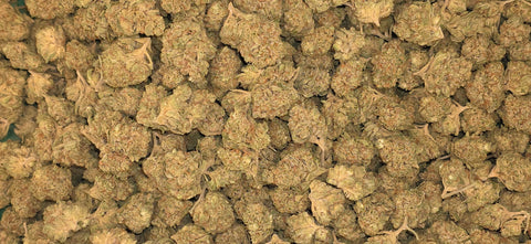 Z Cube - THCA Flower - Hybrid